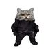 Wildcat Ninja Fella 🇺🇸🇺🇦 We are #NAFO #FELLAs (@savewildcats212) Twitter profile photo Wildcat Ninja Fella 🇺🇸🇺🇦 We are #NAFO #FELLAs (@savewildcats212) Twitter profile photo