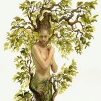 _hamadriade_ (@_hamadriade_) 's Twitter Profile