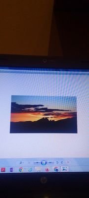 raphanet13's profile picture. 