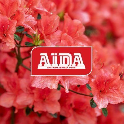 aida_pta Profile Picture