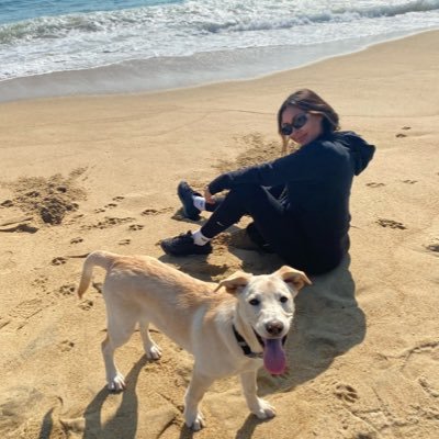 DYocelevzky's profile picture. 