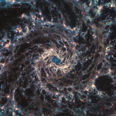 FantumGalaxy's profile picture. 