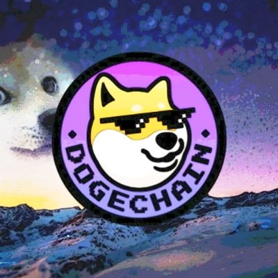 Supporting Dogechain from day one.
