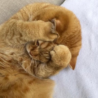 พนมมือ🦆💫✨さんのプロフィール画像
