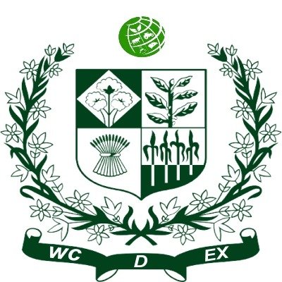 wcdex's profile picture. 