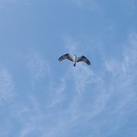 JustReading (@justreadingthx) 's Twitter Profile