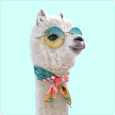 Xiaoxia53681169's profile picture. EarthScience, Remote sensing, Grassland , GEE, machine learning，Ecology, coal mining