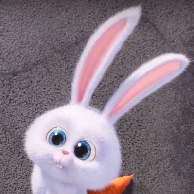 tangtangyy1's profile picture. 