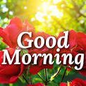 Pradeep27023122's profile picture. Iam cms medical practicener