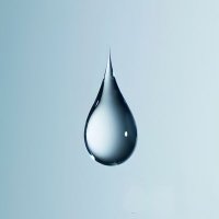れいしとろーる (@tsurureishi_318) 's Twitter Profile