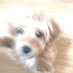 ㅣㅔㅏ (@i__e__a__) Twitter profile photo ㅣㅔㅏ (@i__e__a__) Twitter profile photo