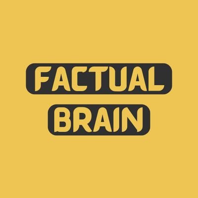Factual Brain
