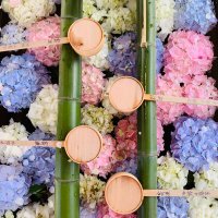 sion (@chocolapotate) Twitter profile photo