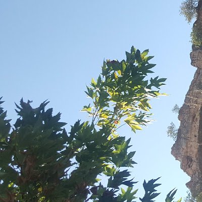 BOZO474734's profile picture. 