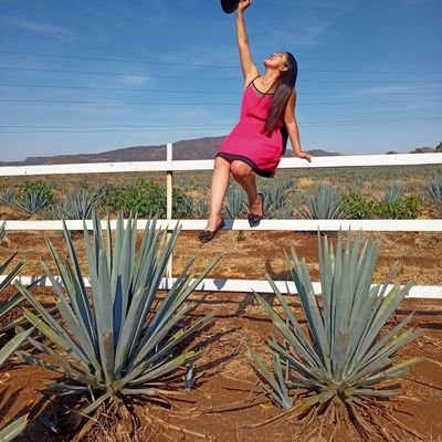 AnahiiTovarr's profile picture. 