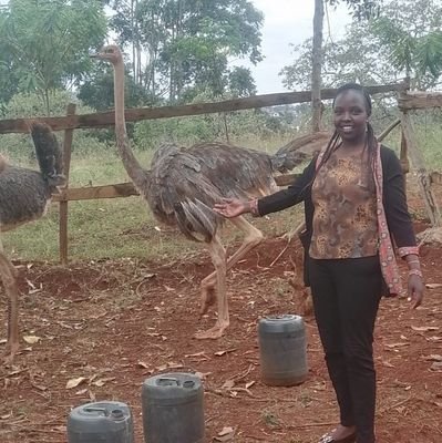 WangariMargaret's profile picture. reasonable