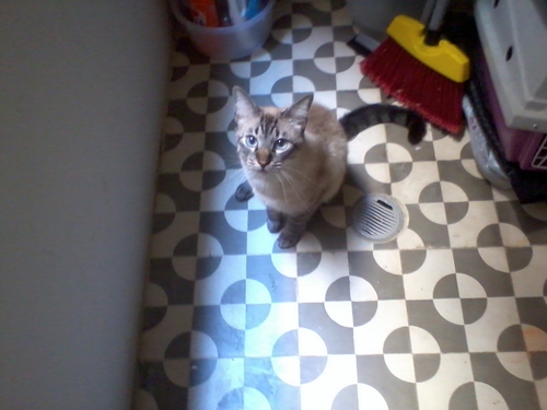 marinafaleiros's profile picture. Journalist from BR. Meus tweets do passado não me representam. Hoje só Twitter para ler audiência.