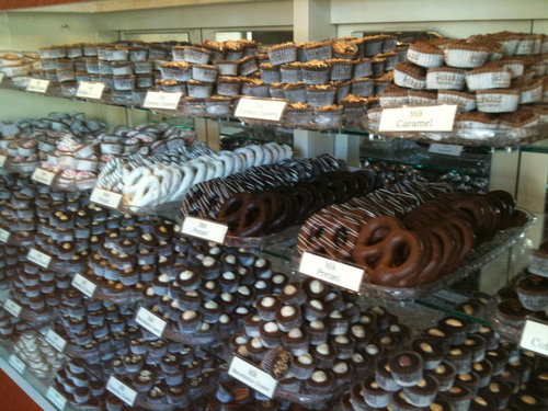 schakolasolas's profile picture. 