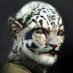 the white panther (@whitepanther72) Twitter profile photo the white panther (@whitepanther72) Twitter profile photo