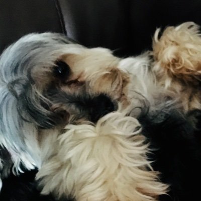 Tuna67252803's profile picture. Matthew 11:28