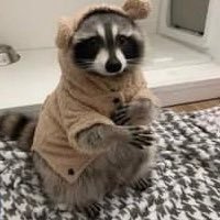 matchingpfps1's profile picture. hi! i’m keyos and i’m here to give you matching profile pictures! posting everyday(i’ll try) at 7:40 PST!