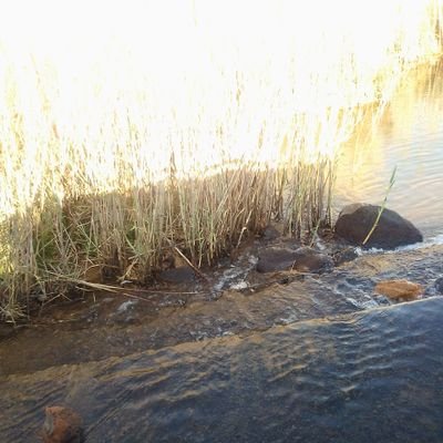 Umazithulela's profile picture. Niel and Phoenix's parent/ a loving partner/an introvert/Anthropologist