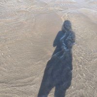 ๐๐๐Sarah Poile ๐๐๐ (@welsh_s_poile) 's Twitter Profile
