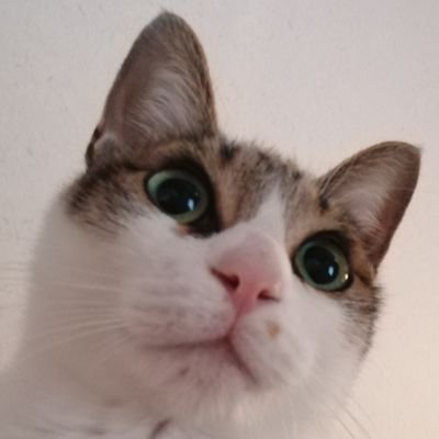 yutaka_mokkou's profile picture. 友と酒を飲む時間が好き。古きよきものにロマンを感じるタイプ。