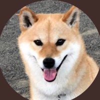 通行人ケン🐶☀️🌠(@kentsubo1507) 's Twitter Profile Photo