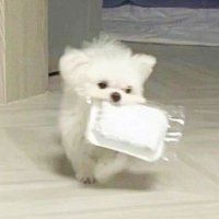 มิ้มพรี ૮・ﻌ・ა (@mimstore_) 's Twitter Profile