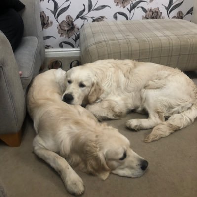 NR0294's profile picture. Headteacher of a 3 form entry primary school.