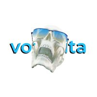 Voxavita Academy(@voxavita) 's Twitter Profile Photo
