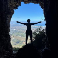 david pearl (@davidpe92644086) 's Twitter Profile