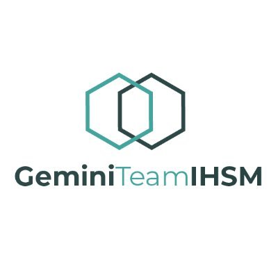 GeminiTeamIHSM Profile Picture