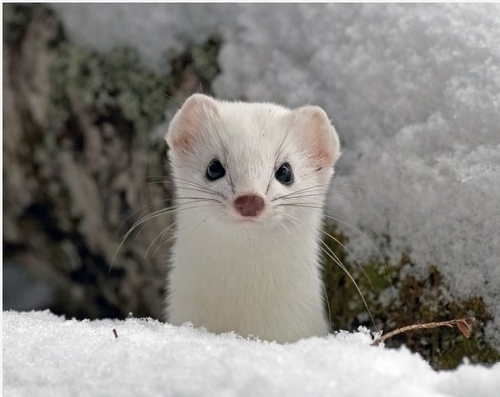 kdhntop's profile picture. 전기공학/설계/sk와이번스fuck you/김성근 감독님 존경합니다/인천야구/낚시/직장인/