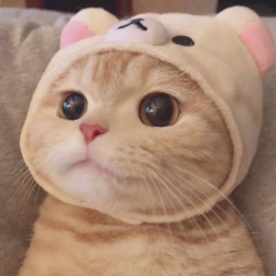 Sky_7628's profile picture. 