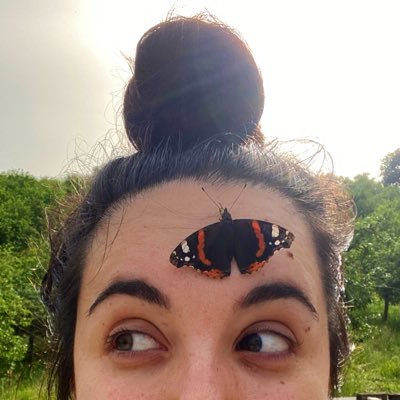 entomoprofessor Profile Picture