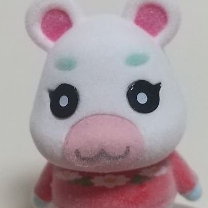 すあまさんのプロフィール画像