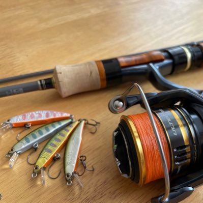 shintar66099991's profile picture. 