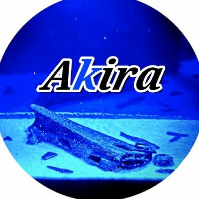 Akira97416 Profile Picture