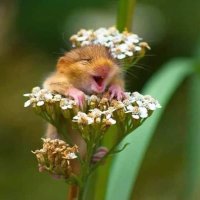 Is There Anybody Out There? (@isthereanybod15) 's Twitter Profile Photo