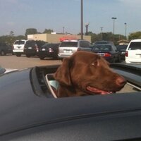 Dan S (@xamdan) 's Twitter Profile
