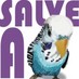 Salve a Periquita (@salveaperiquita) Twitter profile photo Salve a Periquita (@salveaperiquita) Twitter profile photo