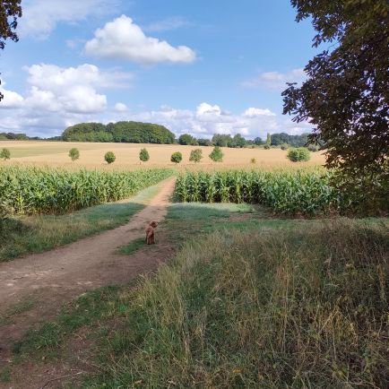 Nickybutts's profile picture. Mum to O and I. Wife to my besty.@garybutts75 running singing laughing and Teacher 11-18  Hums/psy/soc/crim and wellbeing matters