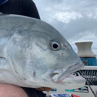 hirahiraangler's profile picture. はじめまして！ 釣り好きサラリーマンです。よろしくお願い致します。
