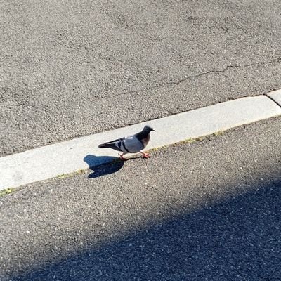 nknhiro1111's profile picture. ずっと大阪。40代♂。2010年 社労士試験(大原一発) 2011年 簿記2級取得☆企業の管理部門　競馬、グラスワンダー系、阪神タイガース、熊本、くまモンのファン✨競馬研究好き、日本馬による凱旋門賞優勝を夢見る🇯🇵🇫🇷いつか東京競馬場・中山競馬場に行ってみたい