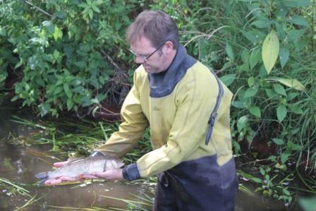 Fish biologist with a fascination for parasites - fishes not mine..