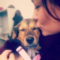 Jet Sol (@jet_sol) 's Twitter Profile Photo