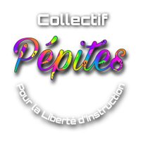 Collectif Pépites(@Pepites_ief) 's Twitter Profile Photo