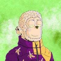 Flurrry | tD (@degenflurrry) 's Twitter Profile